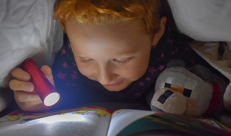 illustration04 1.jpg